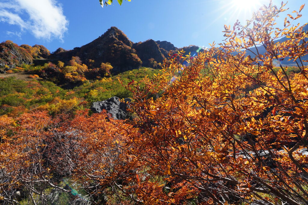 ナナカマドと岩峰