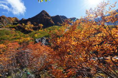 ナナカマドと岩峰