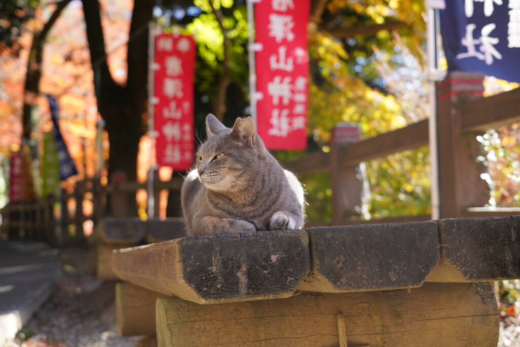 まったり中