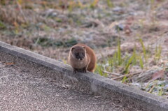 まさかの出会い