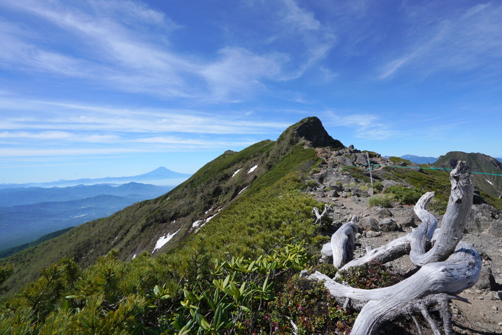 富士山望む八ヶ岳