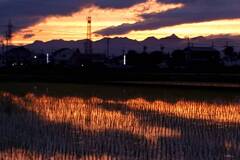 夕暮れの散歩道