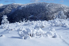 可愛い雪のミニミニ