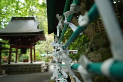 願いを込めて