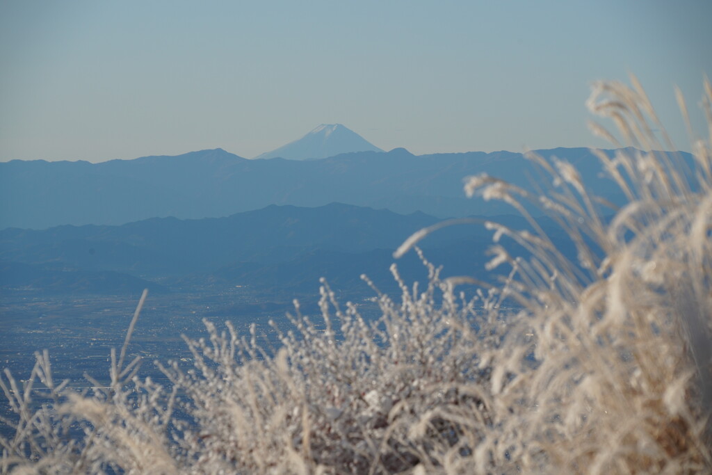 富士山遠望