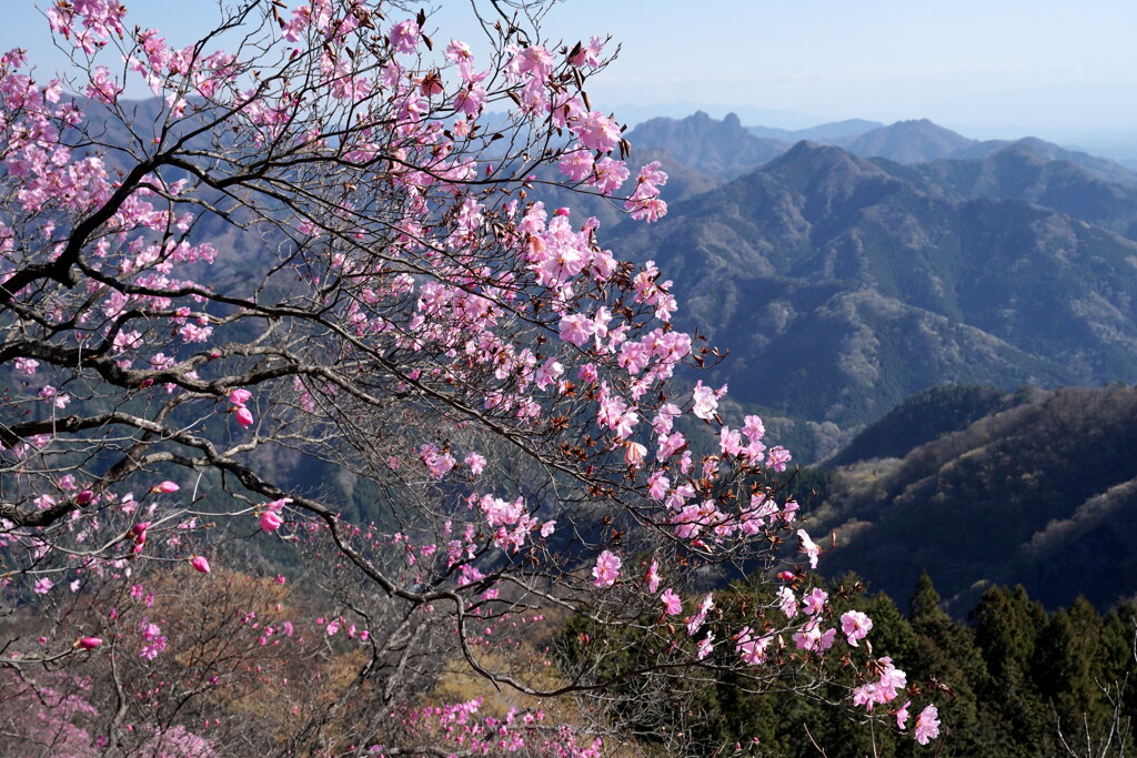 春の三ツ岩岳