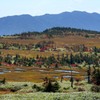 苗場山の秋