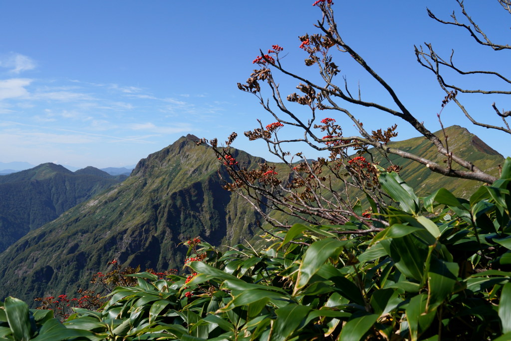 ナナカマドとマナイタグラ