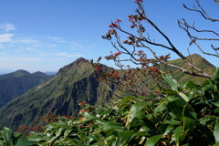 ナナカマドとマナイタグラ