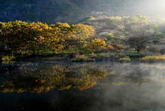 朝陽差し込む覚満淵