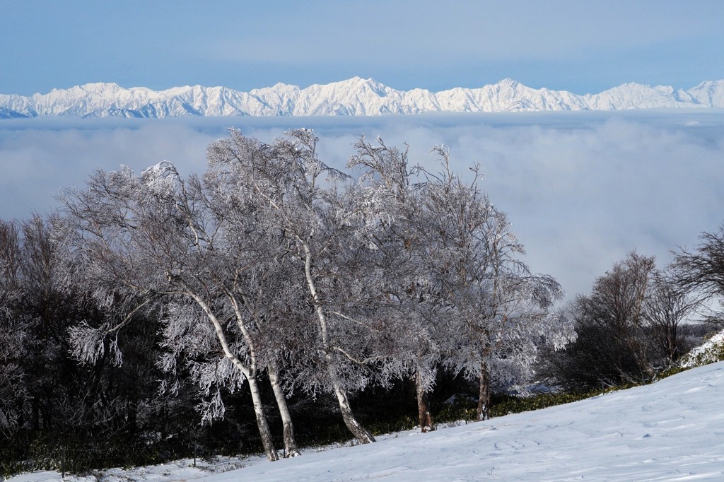 白銀のアルプスと霧氷