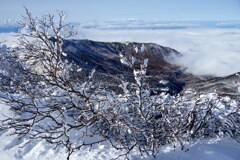 冬の雲海