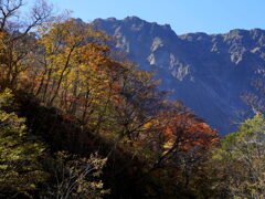 紅葉の谷川