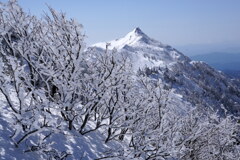 霧氷咲く武尊山