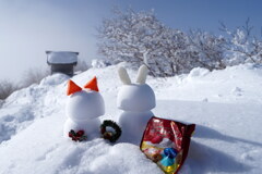 気分はクリスマス