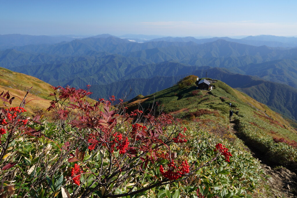 峰に佇む駒ノ小屋