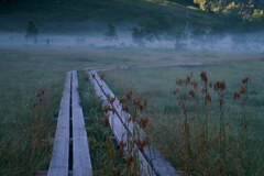 朝霧の志賀高原