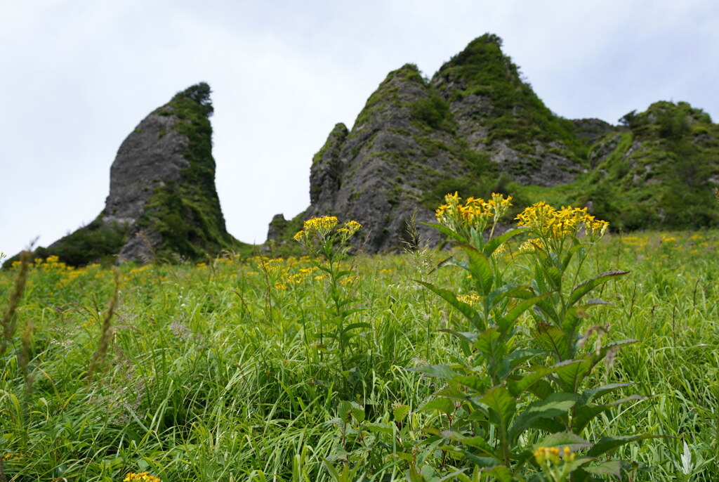 夏の終わりの草すべり