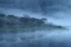 朝霧湧く