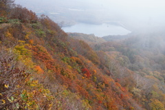 霧霞む紅葉の玉原湖