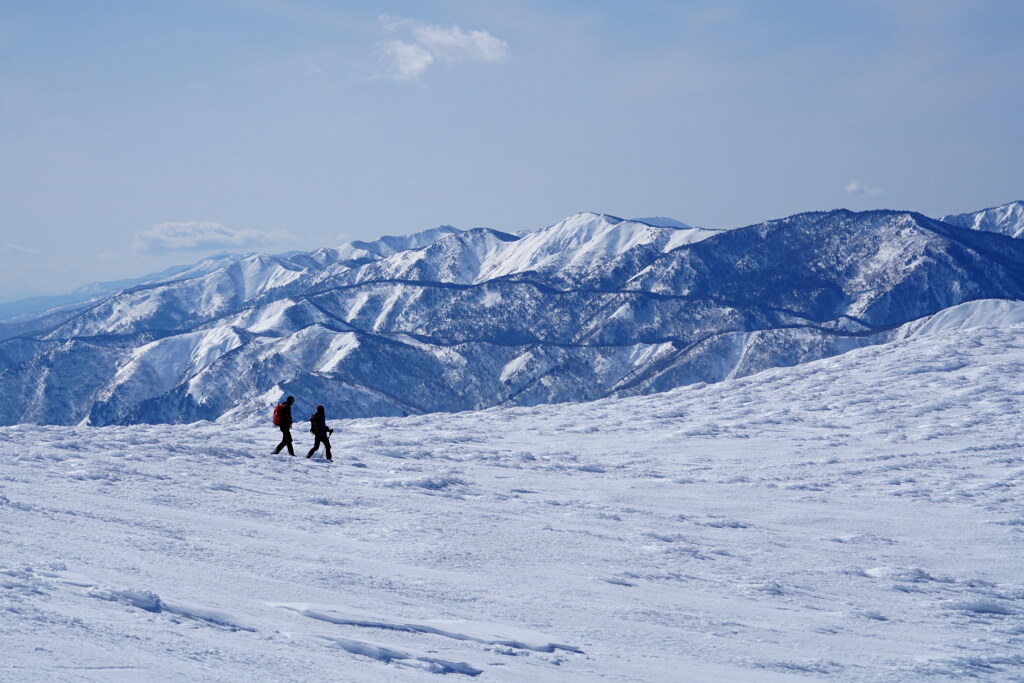 大展望の雪原