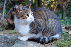 笑顔のサービス