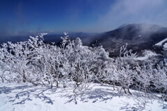 白き霧氷の湯ノ丸山