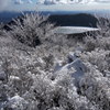 霧氷の先に