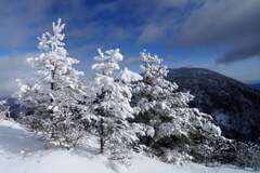 雪のご褒美