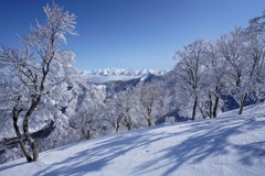 霧氷咲く日白山