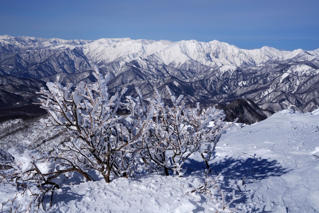 霧氷と谷川岳