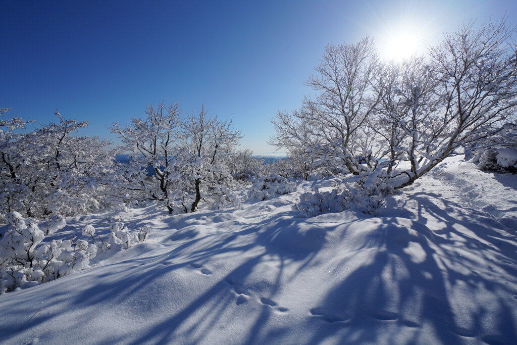 雪と影