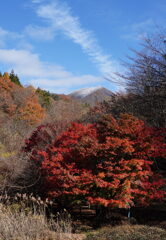 霧氷残る地蔵岳