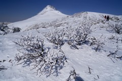 樹氷の中を行く