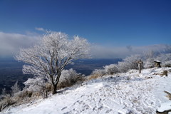 霧氷化粧の鍋割山