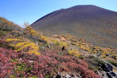 二色彩る浅間山