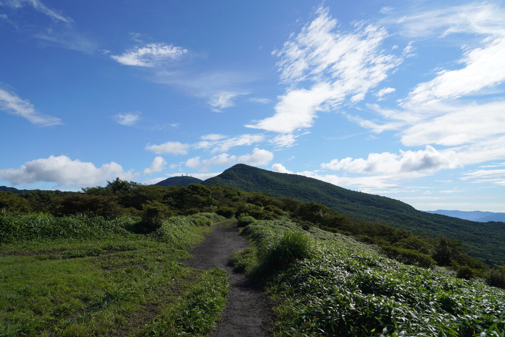 夏風