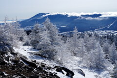 霧氷の森と浅間山