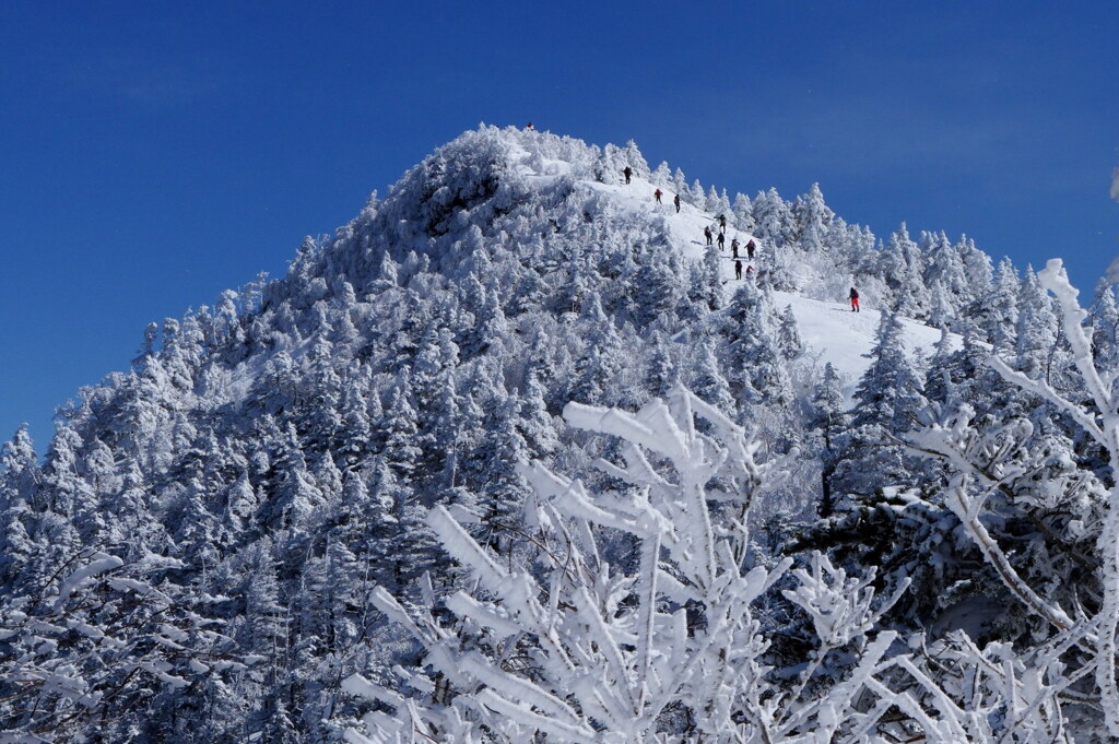 山頂へ
