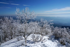 白と青の世界