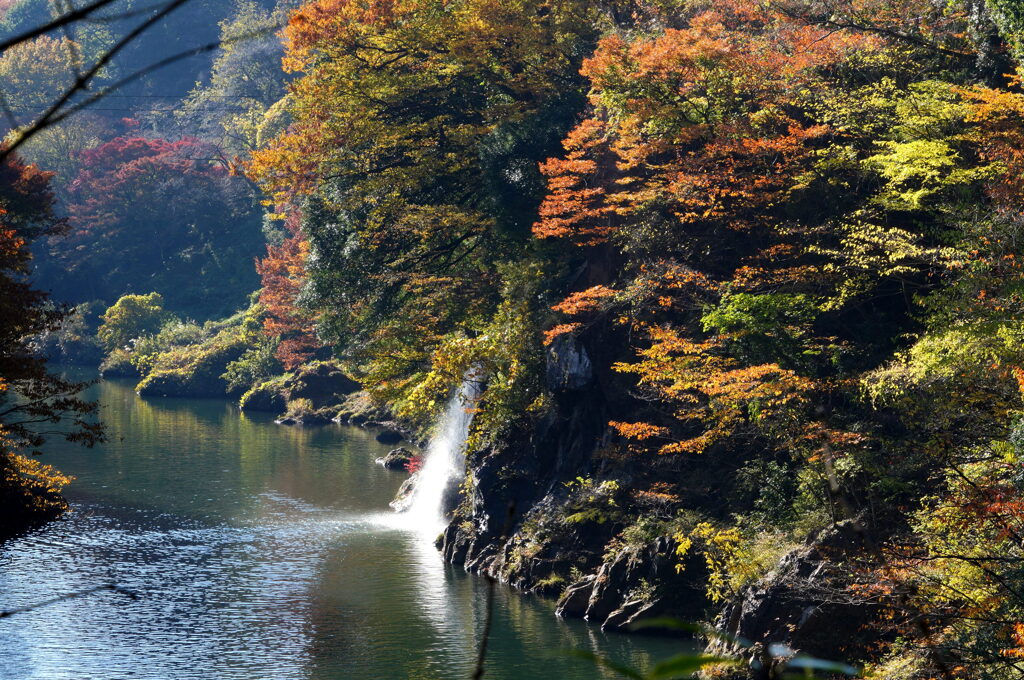 紅葉の渓谷