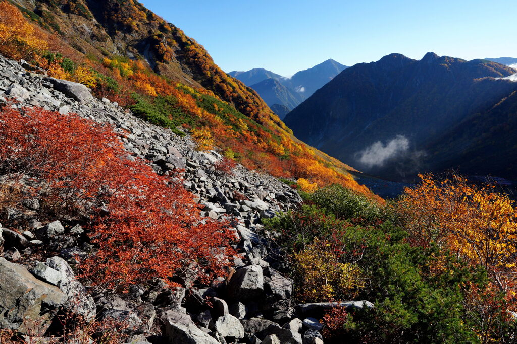 紅葉染まる尾根