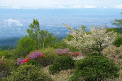 初夏の長七郎山