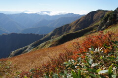 草紅葉色付く峰