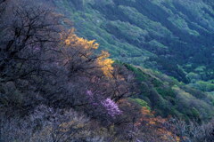 光差す