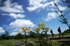 夏の高原ウォーク
