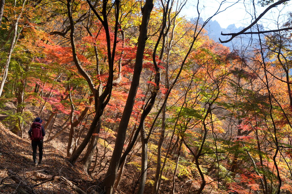 錦染まる登山道