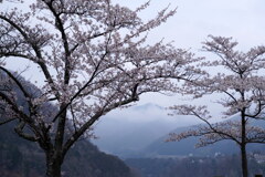 雲の奥に