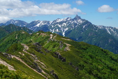 盛夏の縦走路