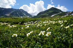 花の室堂